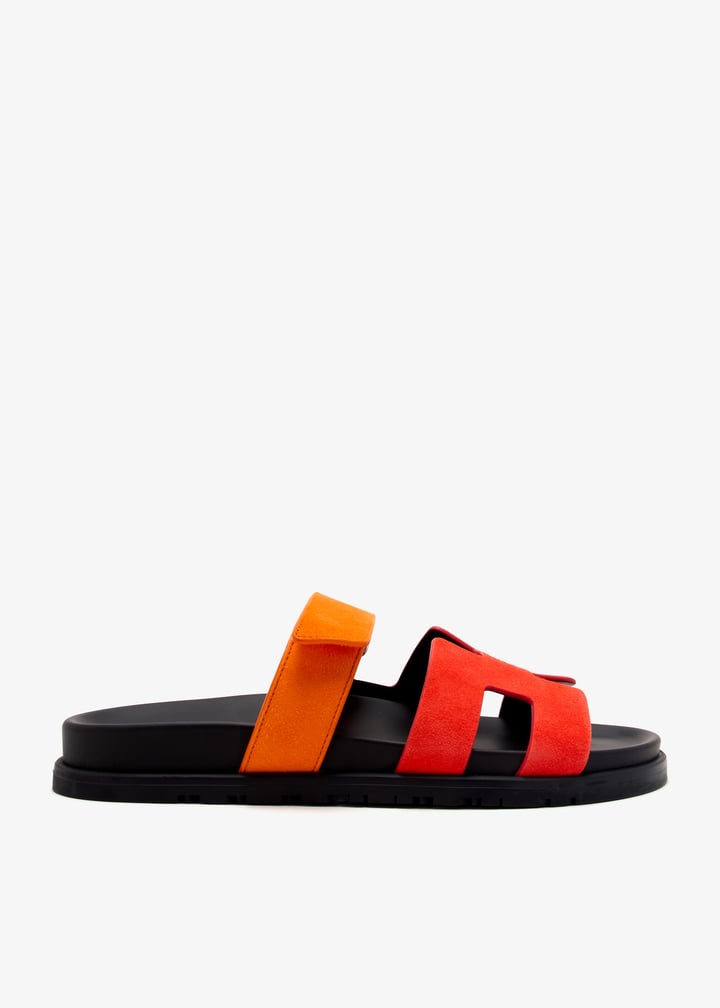 pl433739_1.jpg?ts=20250104031029