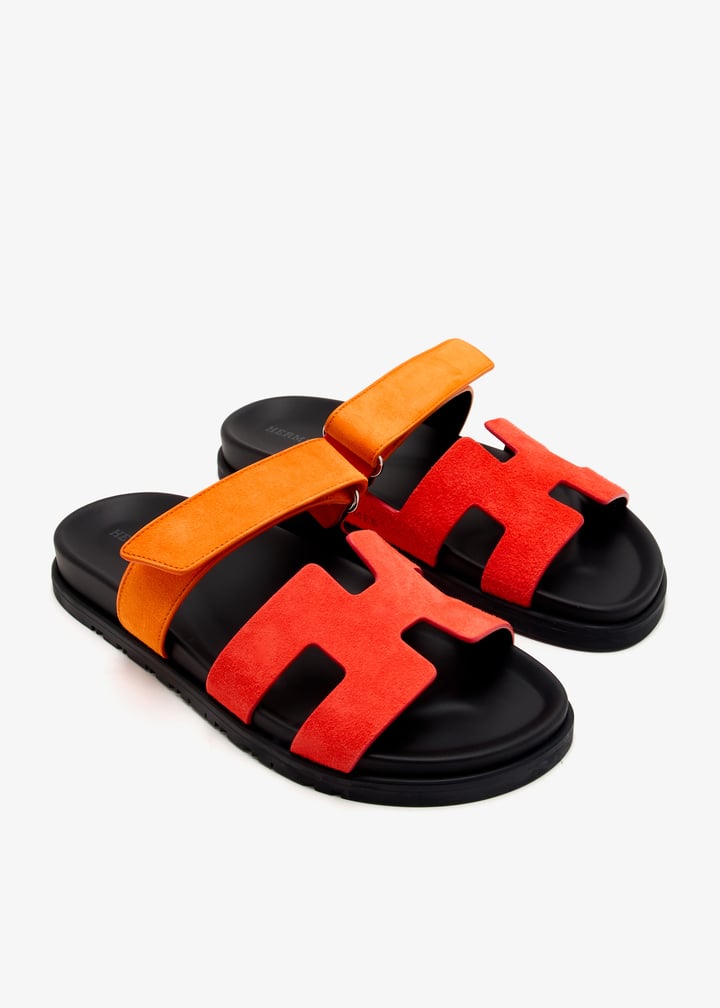 pl433739_3.jpg?ts=20250104031029