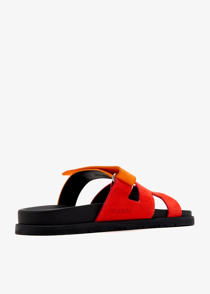 pl433739_4.jpg?ts=20250104031029