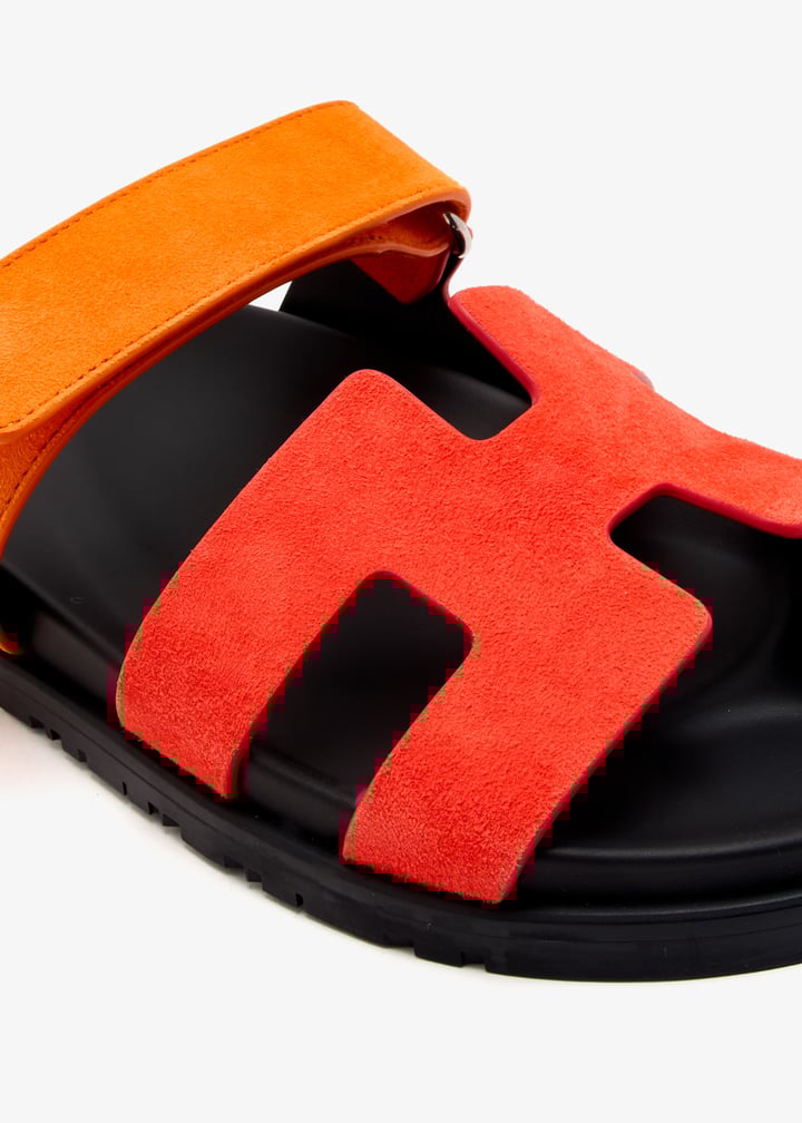 pl433739_5.jpg?ts=20250104031029