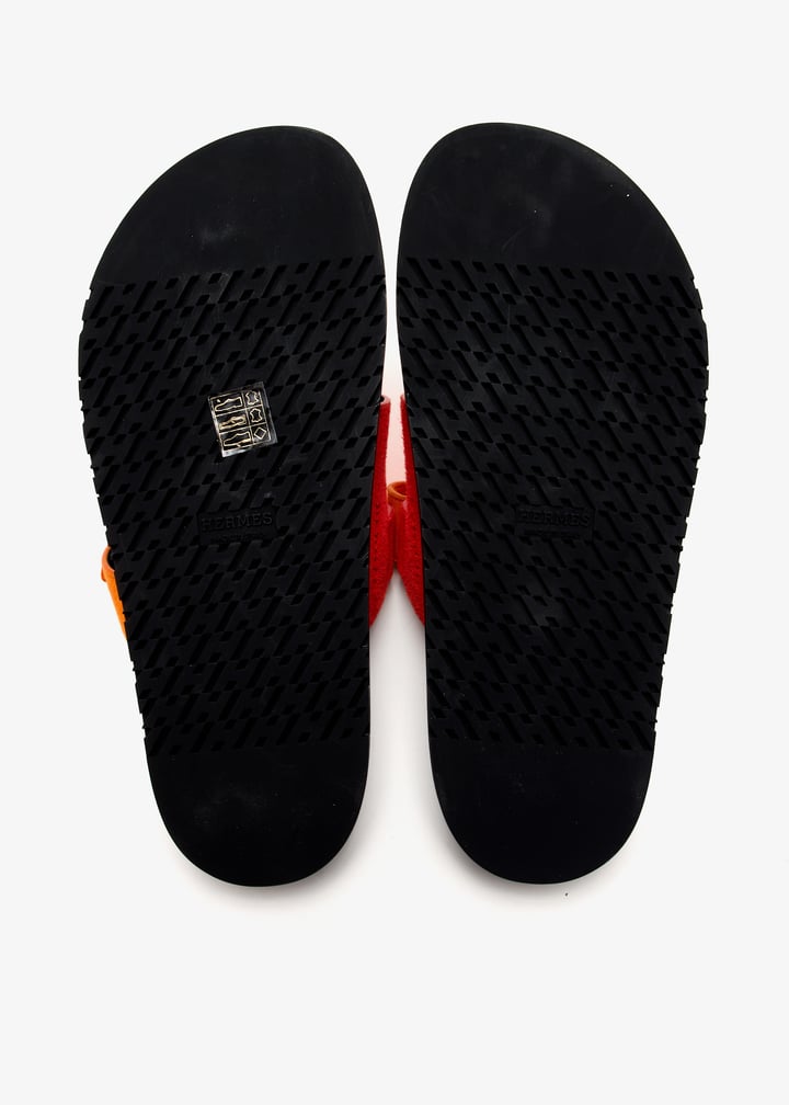 pl433739_7.jpg?ts=20250104031029