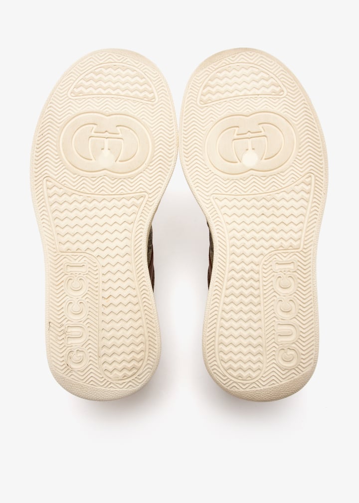 pl434352_7.jpg?ts=20250104031032