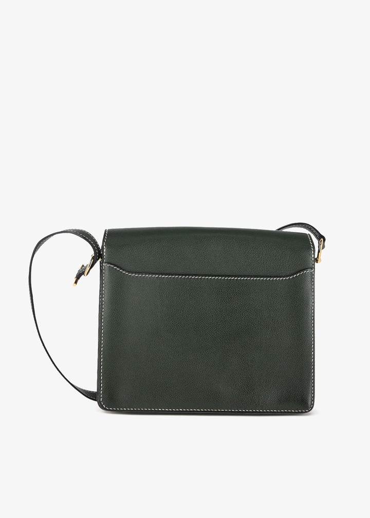 pl444197_3.jpg?ts=20250130054530