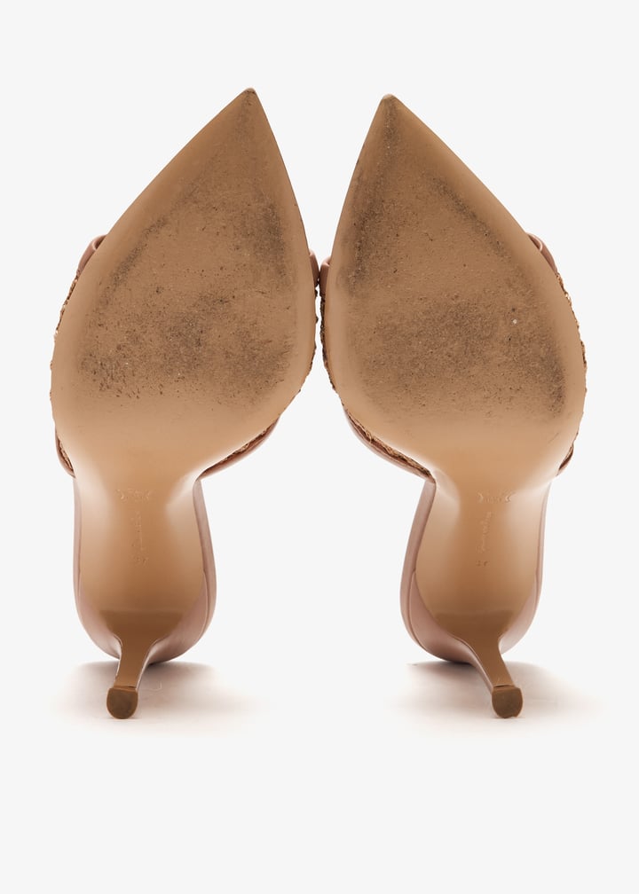 pl444607_7.jpg?ts=20250106022016