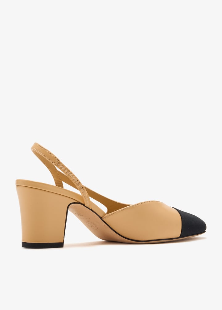 pl444725_4.jpg?ts=20250117195533