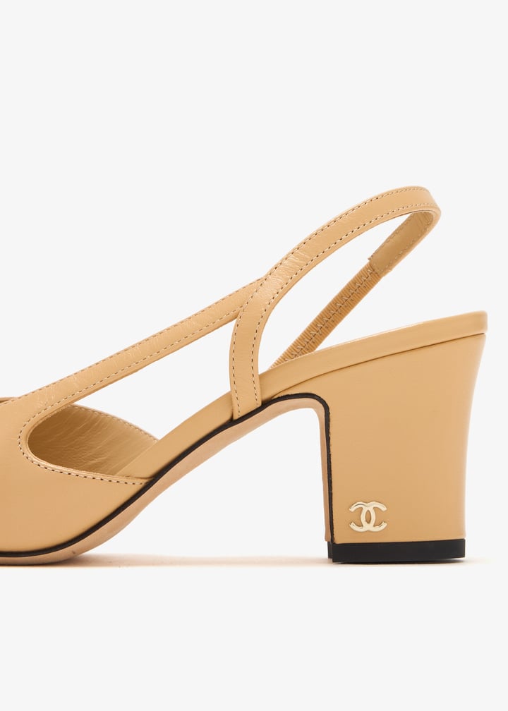 pl444725_5.jpg?ts=20250117195533