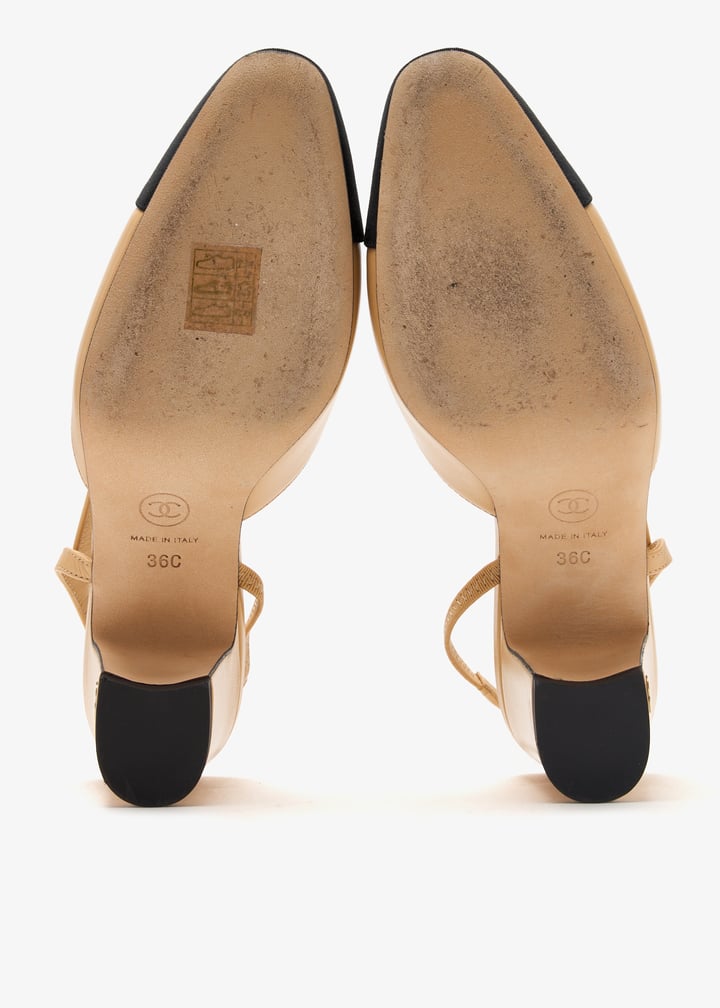 pl444725_7.jpg?ts=20250117195533