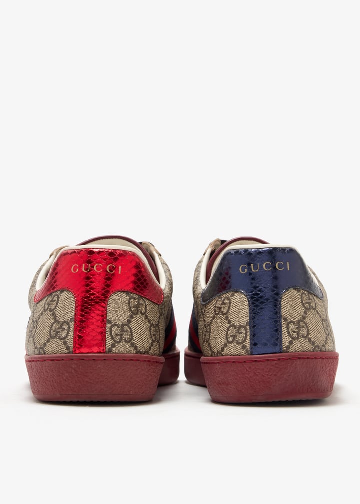 pl444843_6.jpg?ts=20250115035531