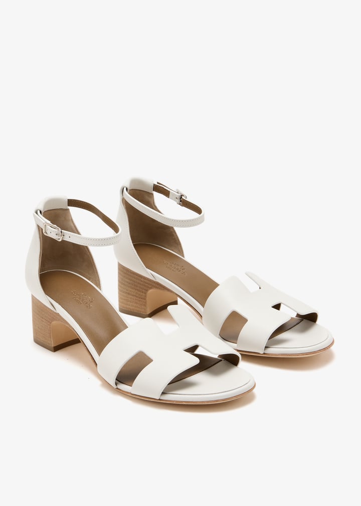 pl445274_3.jpg?ts=20250201035032