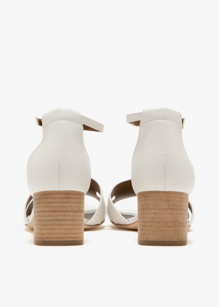 pl445274_5.jpg?ts=20250201035032