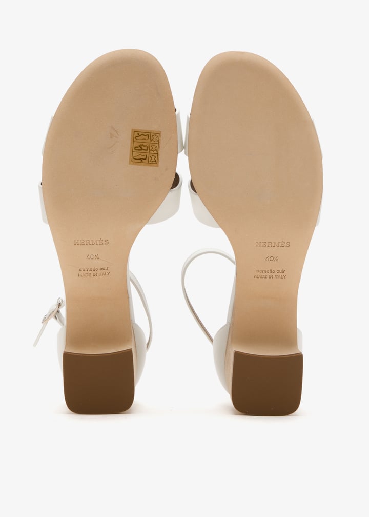 pl445274_6.jpg?ts=20250201035032