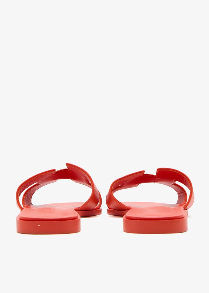 pl445277_5.jpg?ts=20250201035033