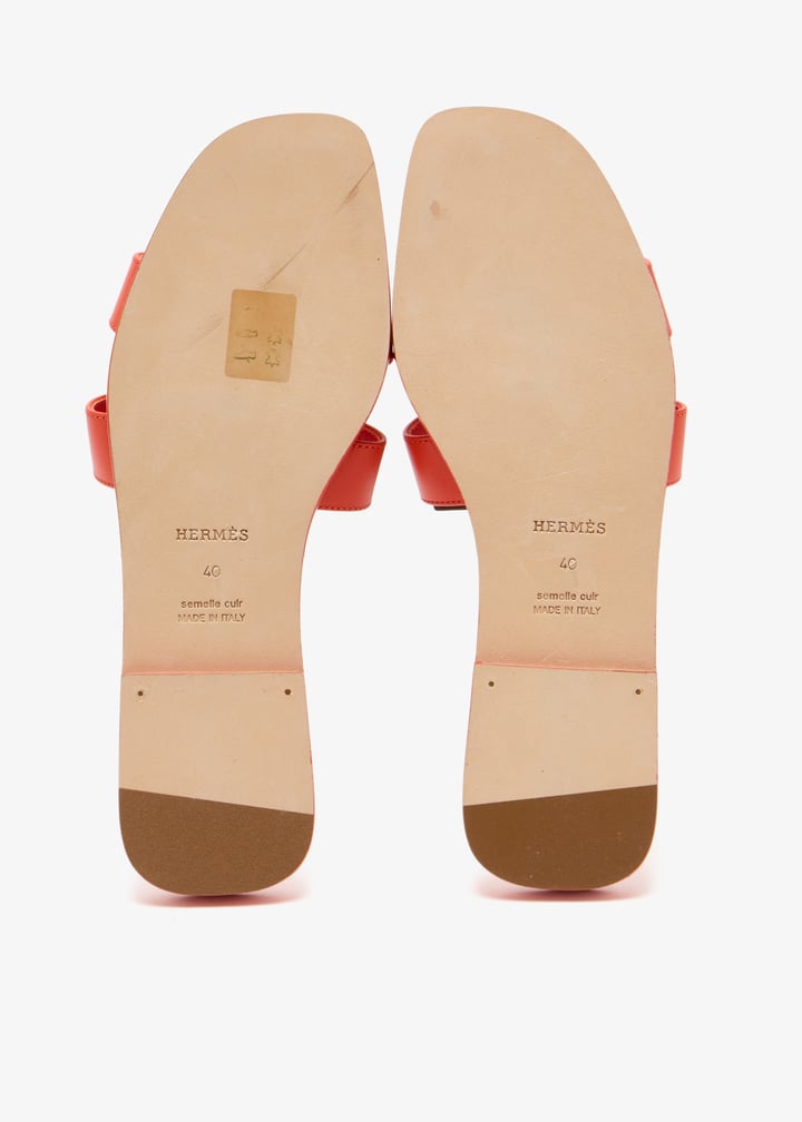 pl445277_6.jpg?ts=20250201035033