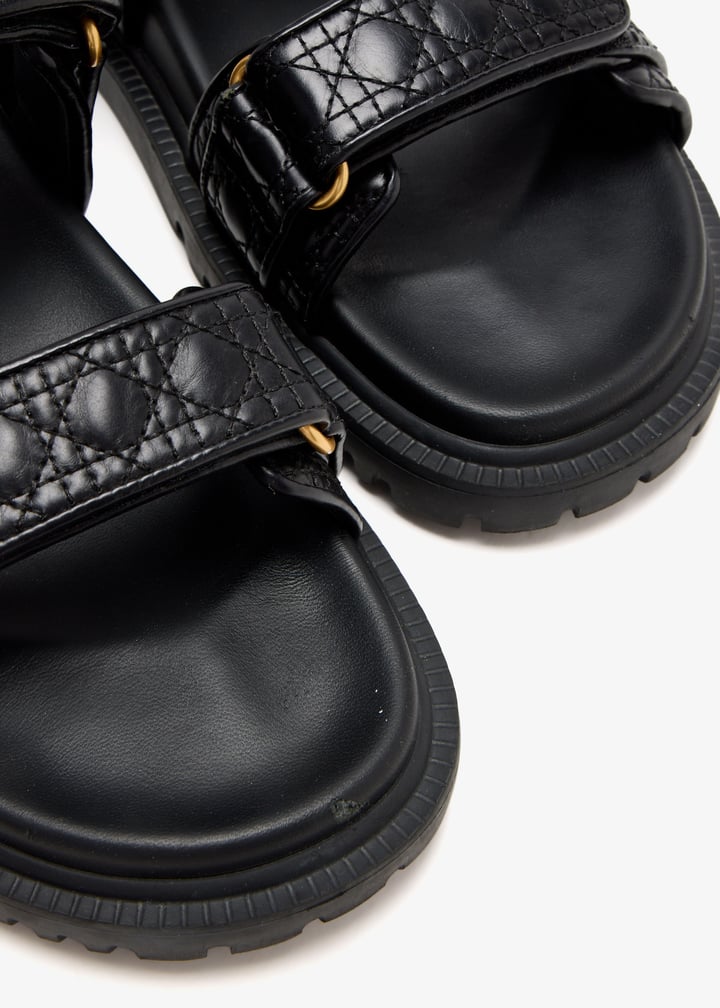 pl445287_5.jpg?ts=20250117195556