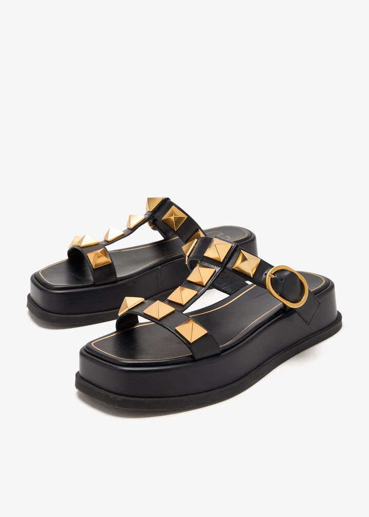 pl446497_3.jpg?ts=20250503035528