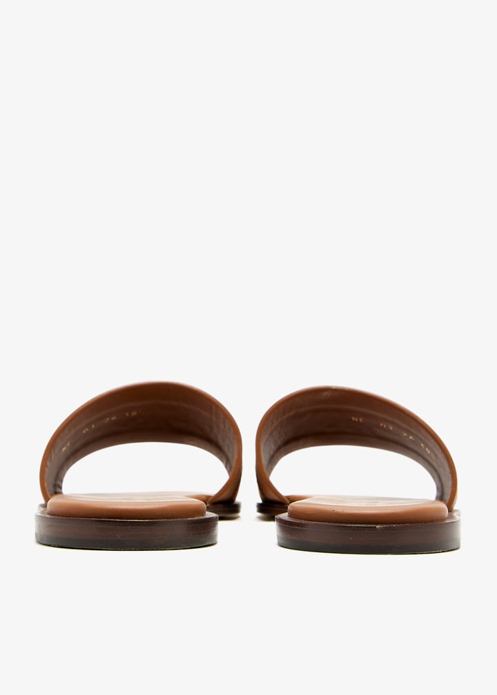 pl446591_6.jpg?ts=20250121040045