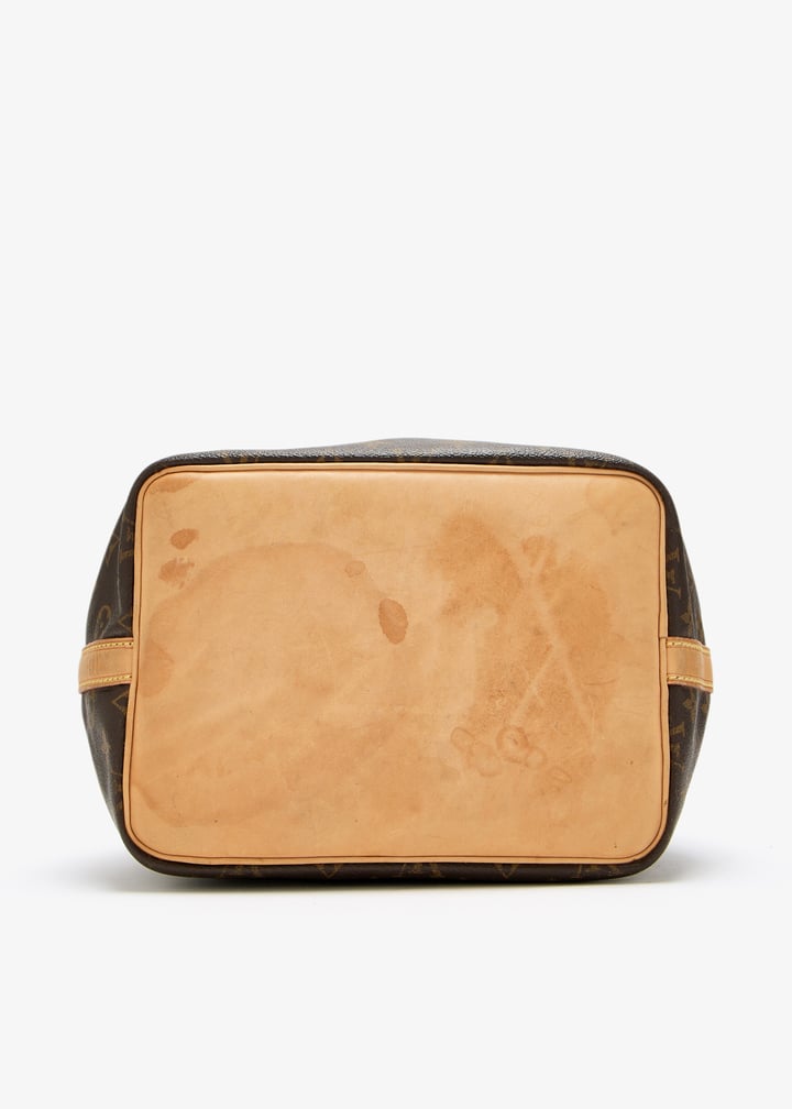 pl447188_6.jpg?ts=20250422033035