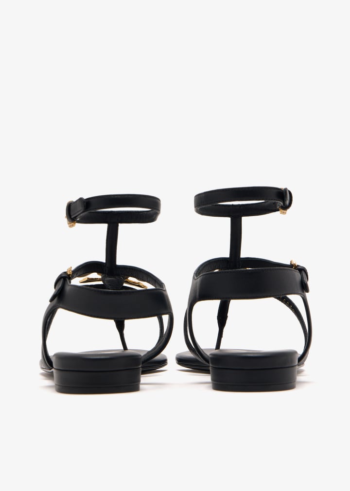 pl447318_5.jpg?ts=20250204120537