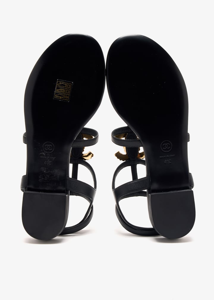 pl447318_6.jpg?ts=20250204120537