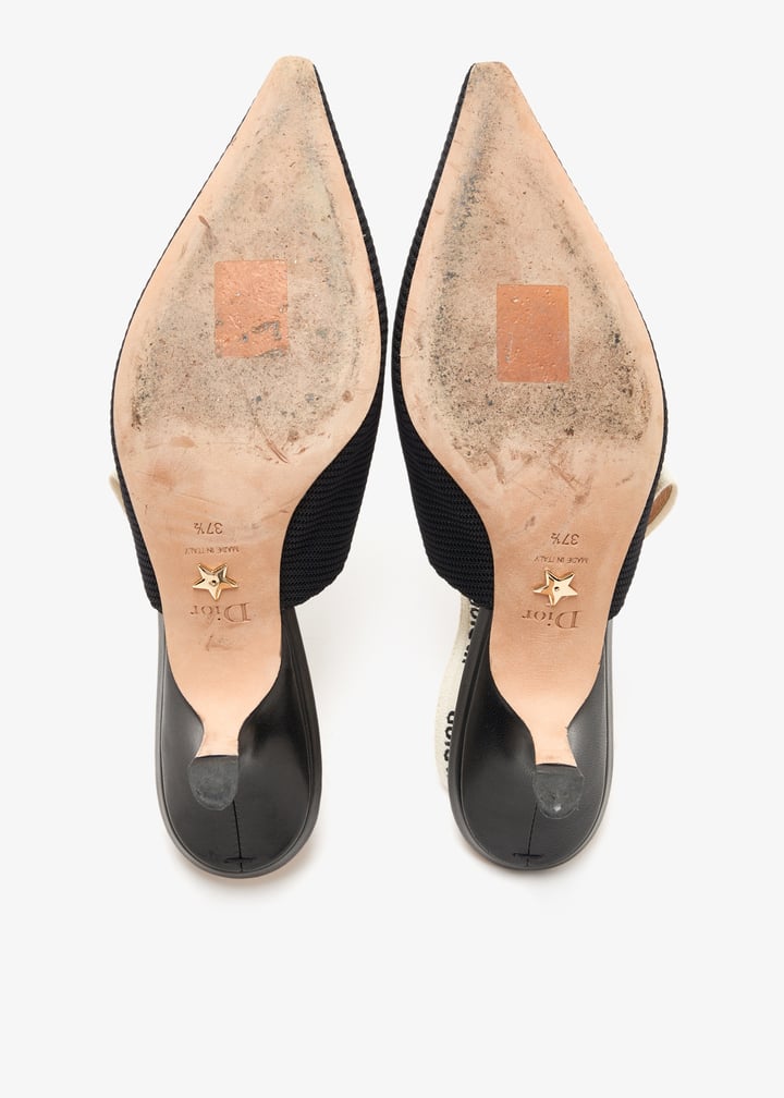 pl450452_7.jpg?ts=20250301045614