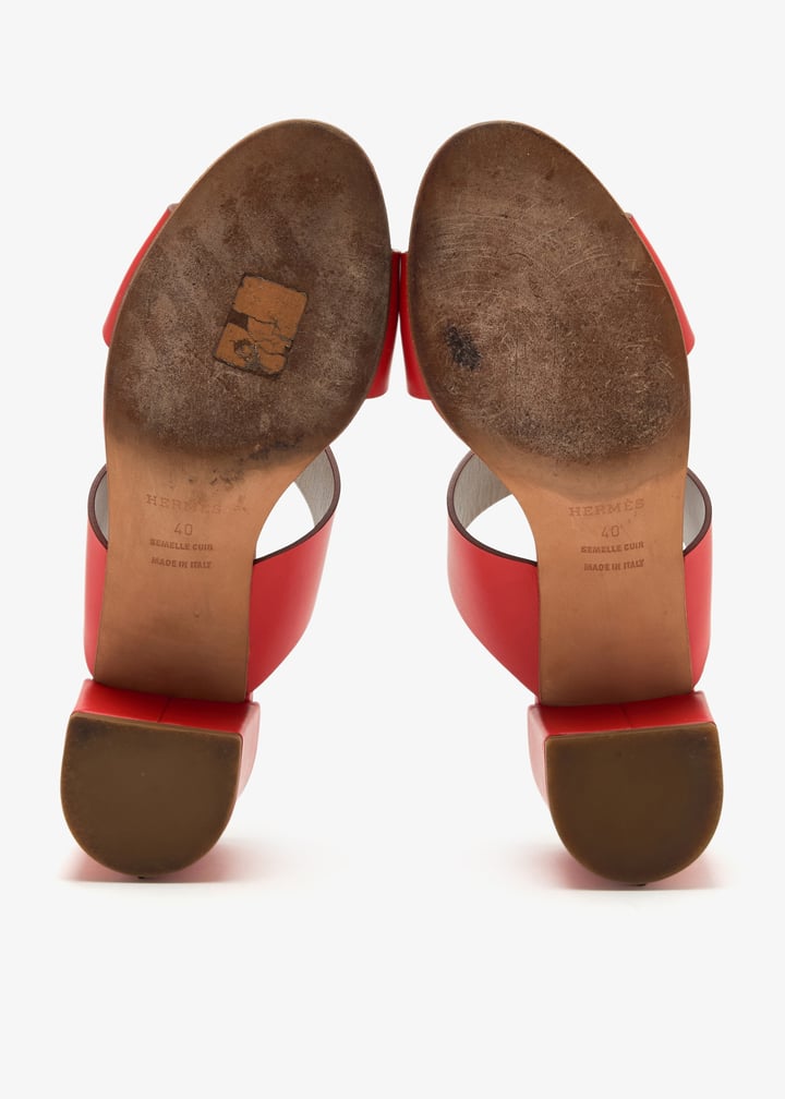 pl450634_7.jpg?ts=20250130054533