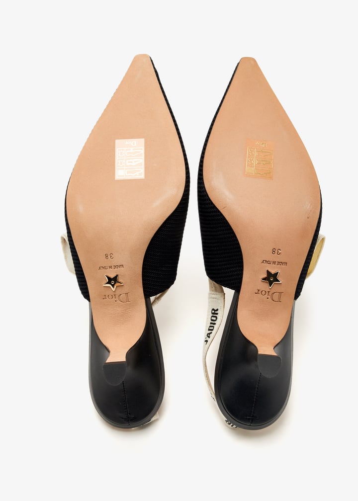 pl451814_7.jpg?ts=20250213105013