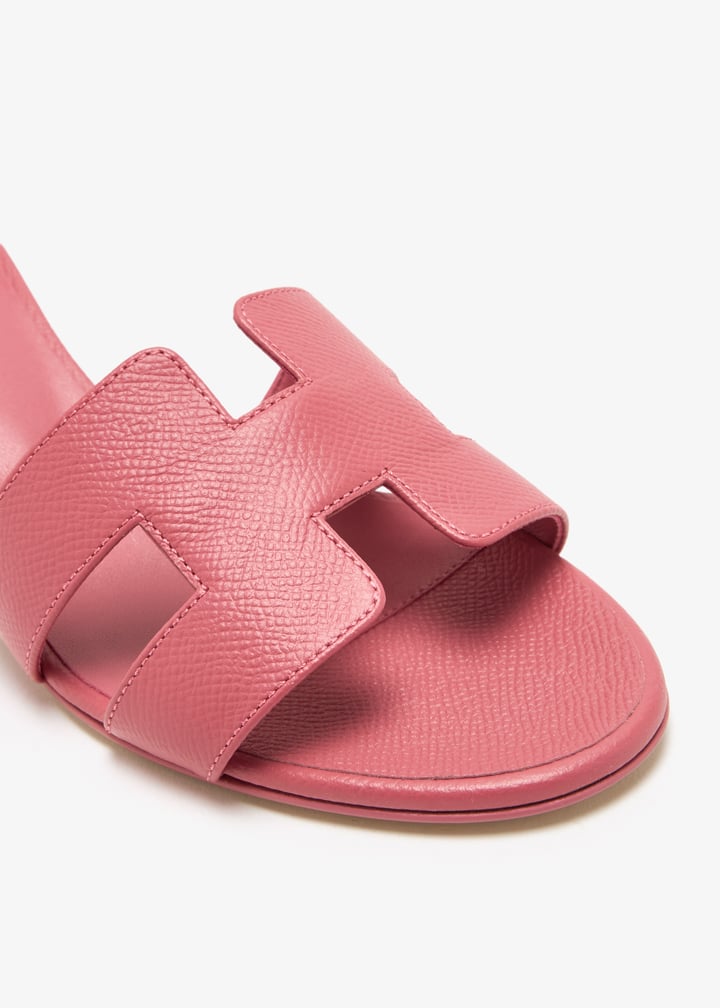 pl451821_5.jpg?ts=20250213105014