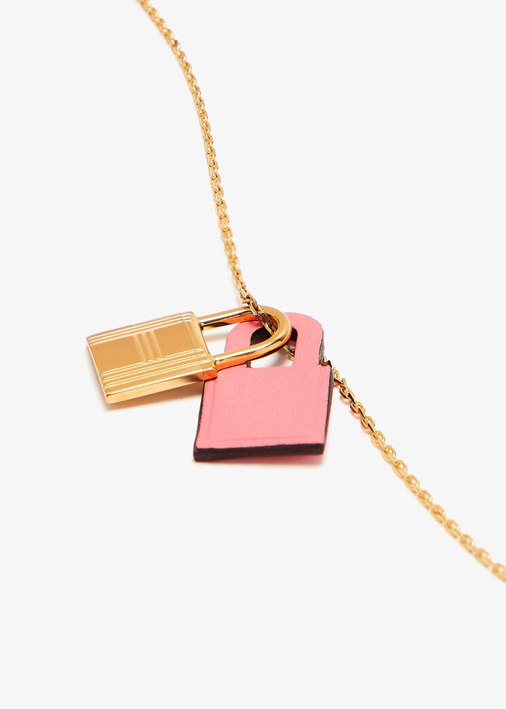 pl455333_3.jpg?ts=20250223034017