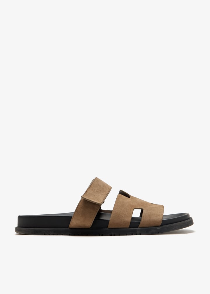 pl455791_1.jpg?ts=20250408035530