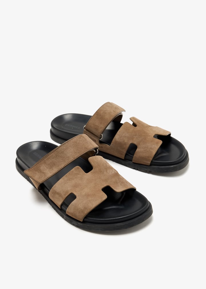 pl455791_3.jpg?ts=20250408035530