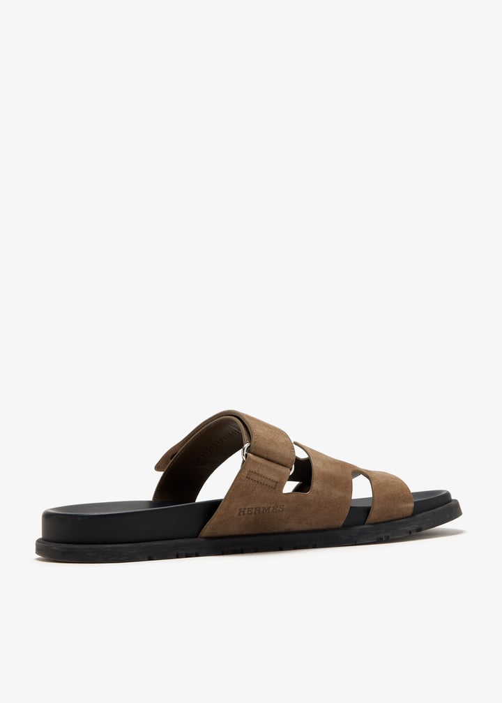 pl455791_4.jpg?ts=20250408035530