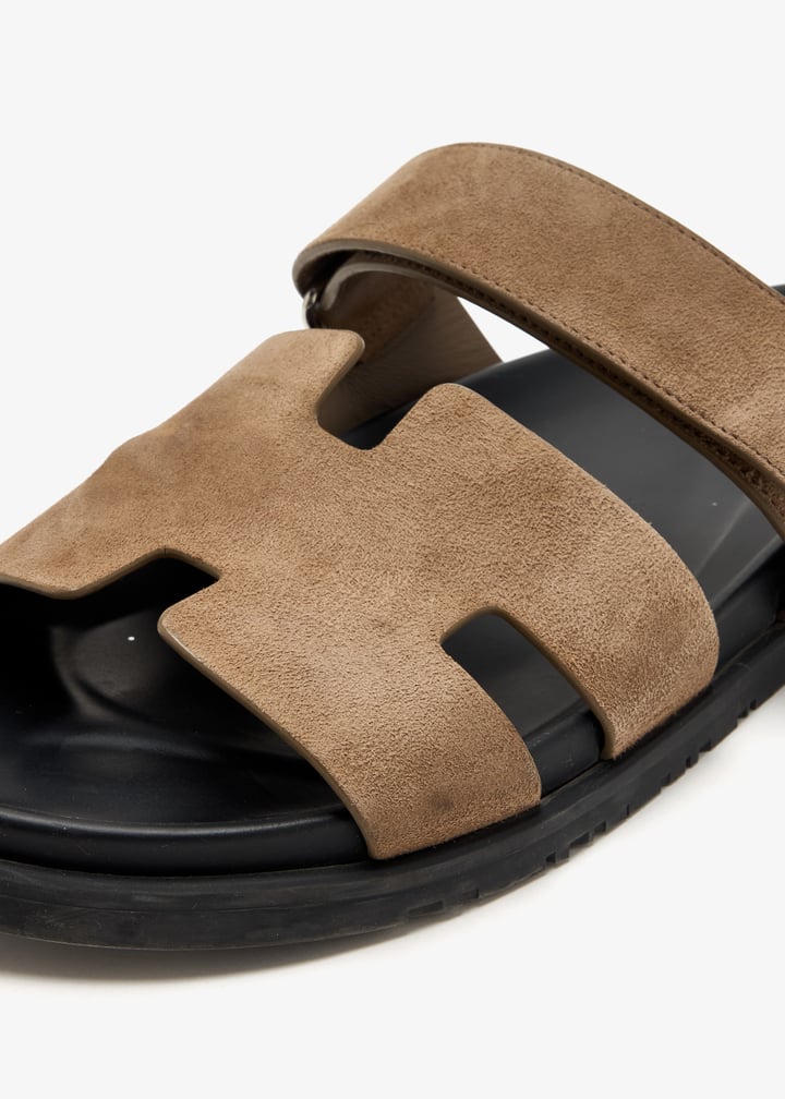 pl455791_5.jpg?ts=20250408035530