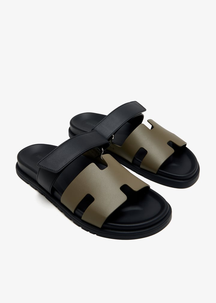 pl457064_3.jpg?ts=20250227170541