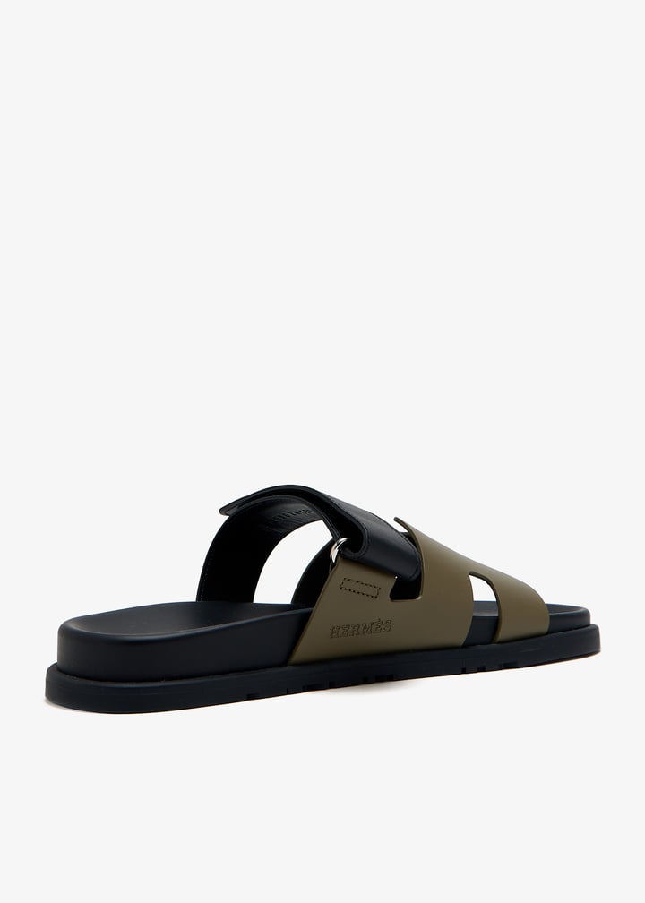 pl457064_4.jpg?ts=20250227170541