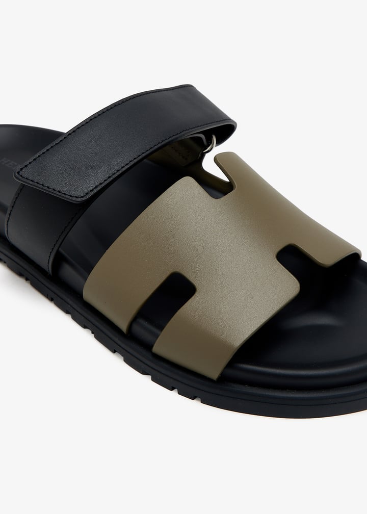 pl457064_5.jpg?ts=20250227170541