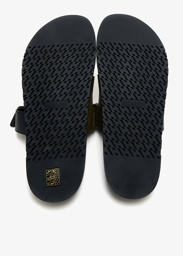 pl457064_7.jpg?ts=20250227170541