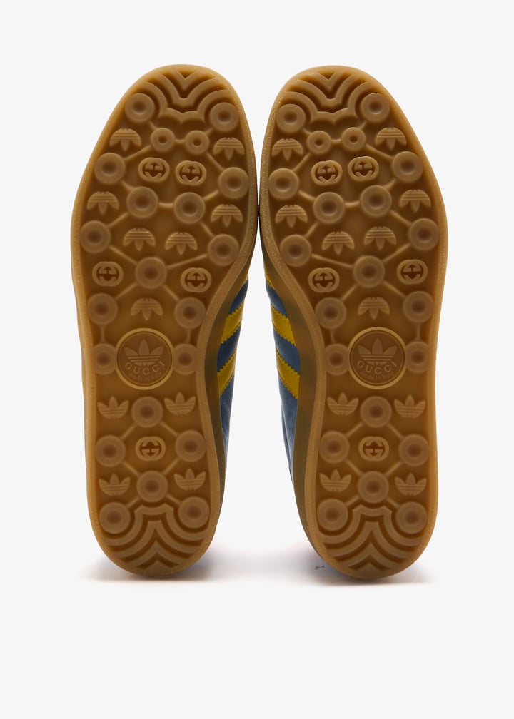 pl457453_6.jpg?ts=20250225055022