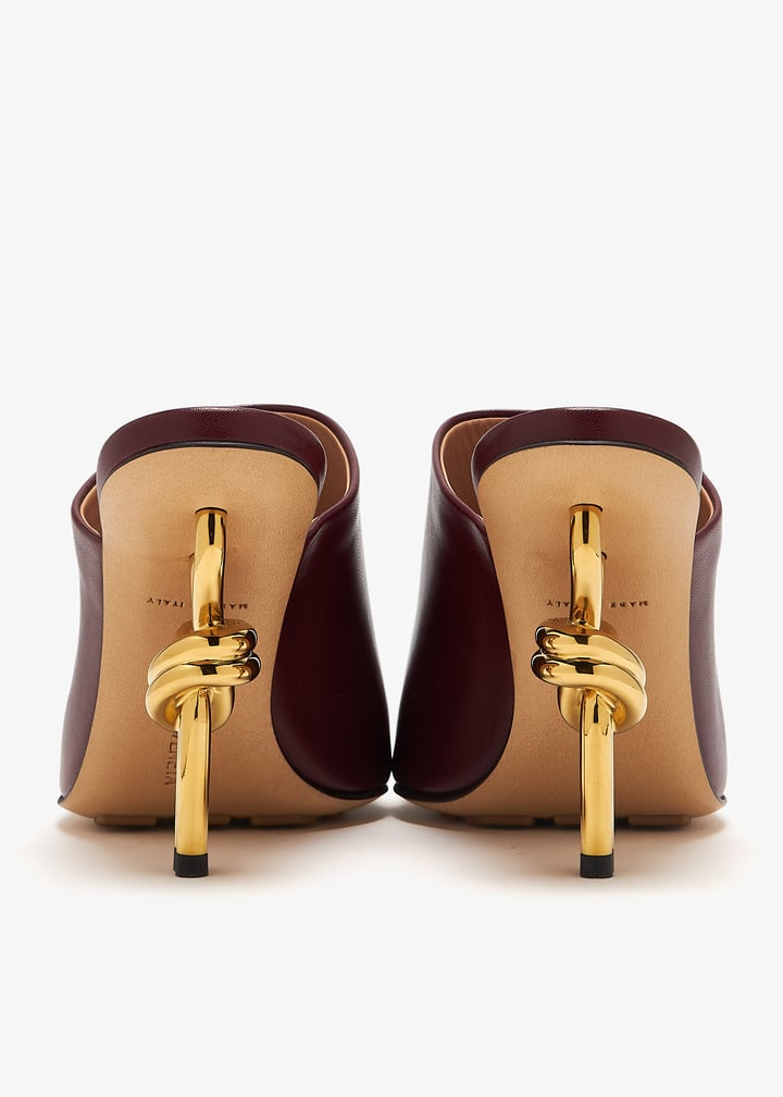 pl457608_6.jpg?ts=20250301045616