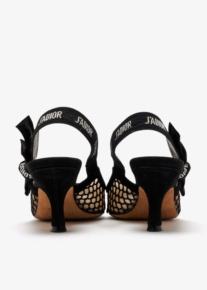 pl458790_6.jpg?ts=20250306112027