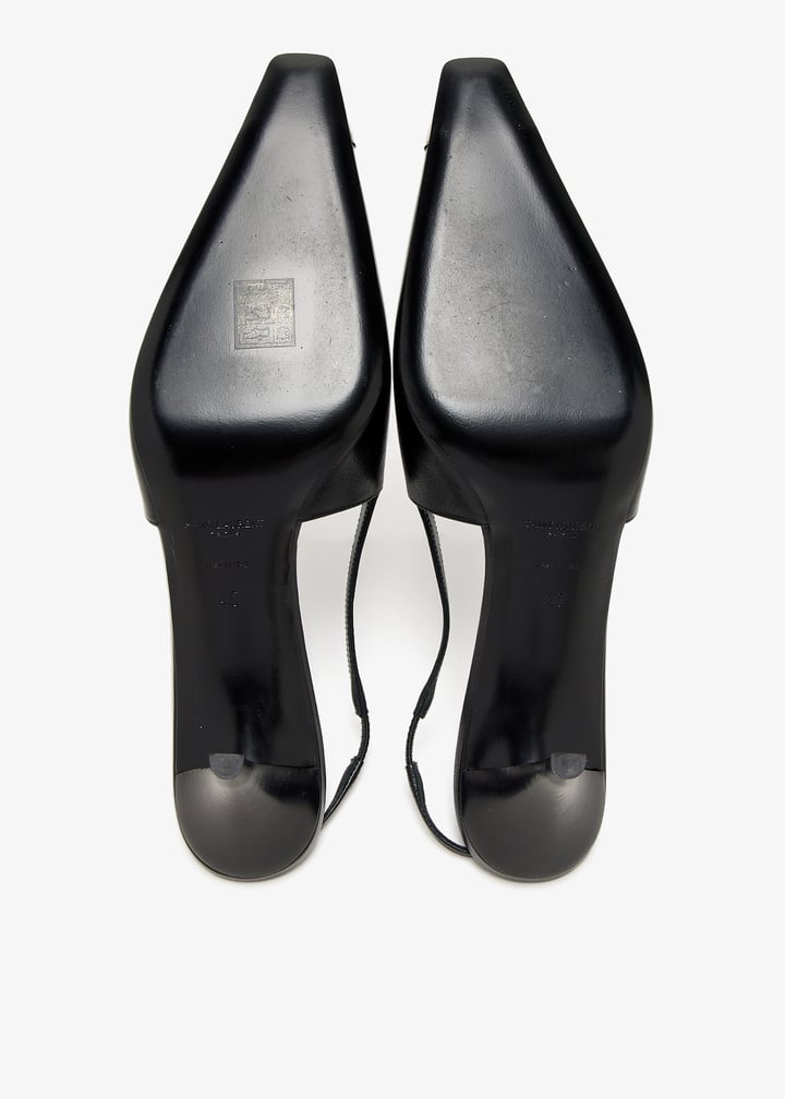 pl460254_6.jpg?ts=20250308033137