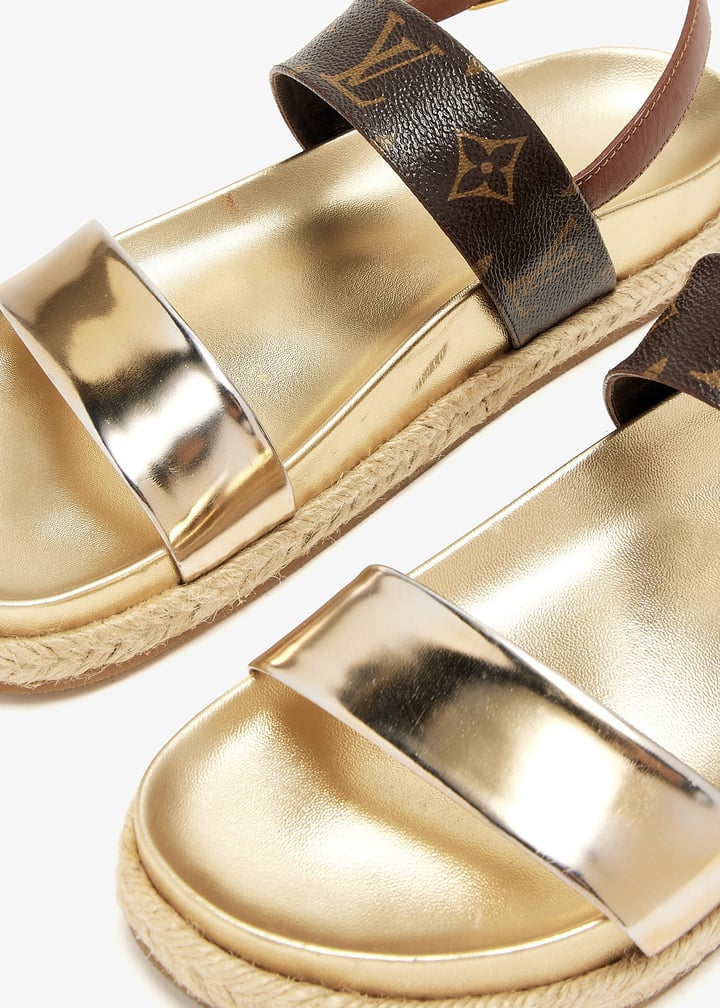 pl461864_5.jpg?ts=20250320121028