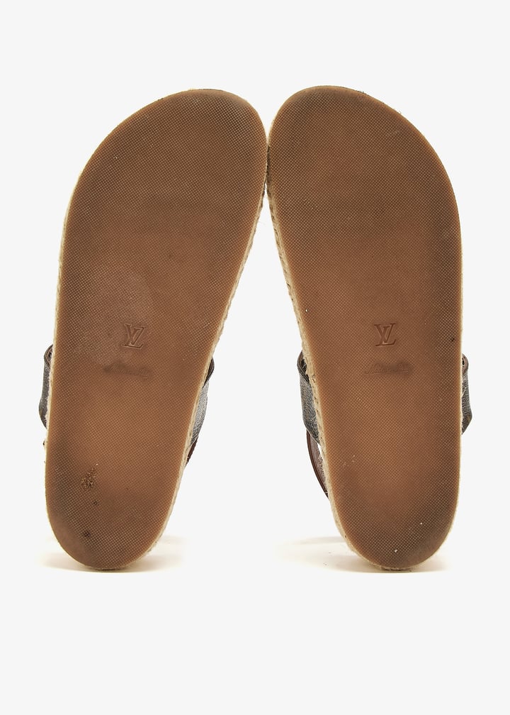 pl461864_7.jpg?ts=20250320121028