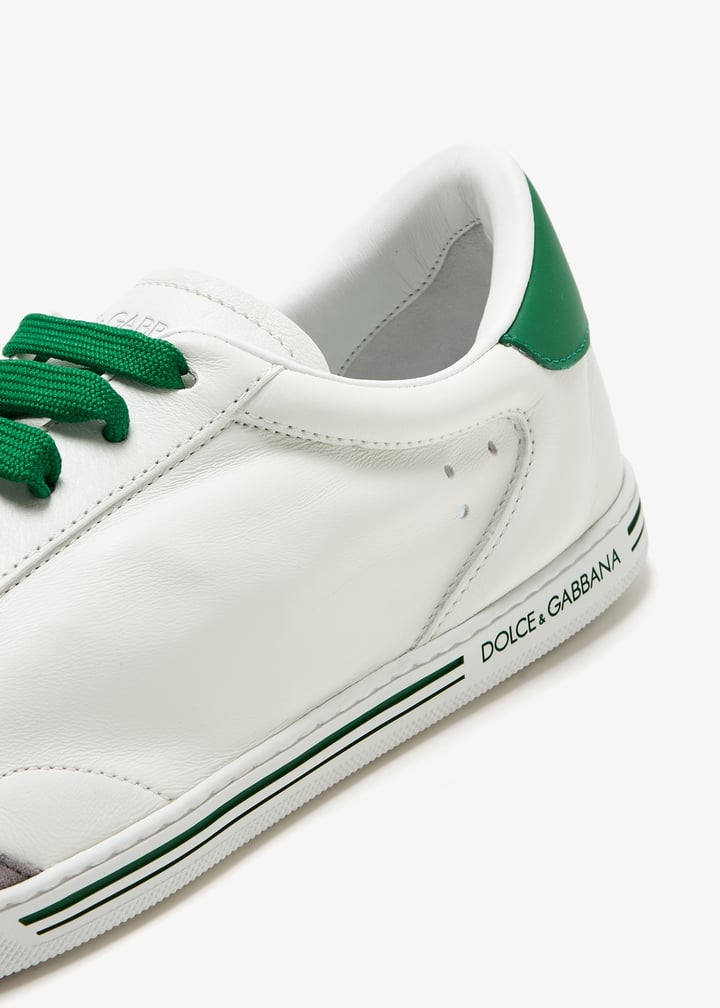 pl461910_5.jpg?ts=20250322030523