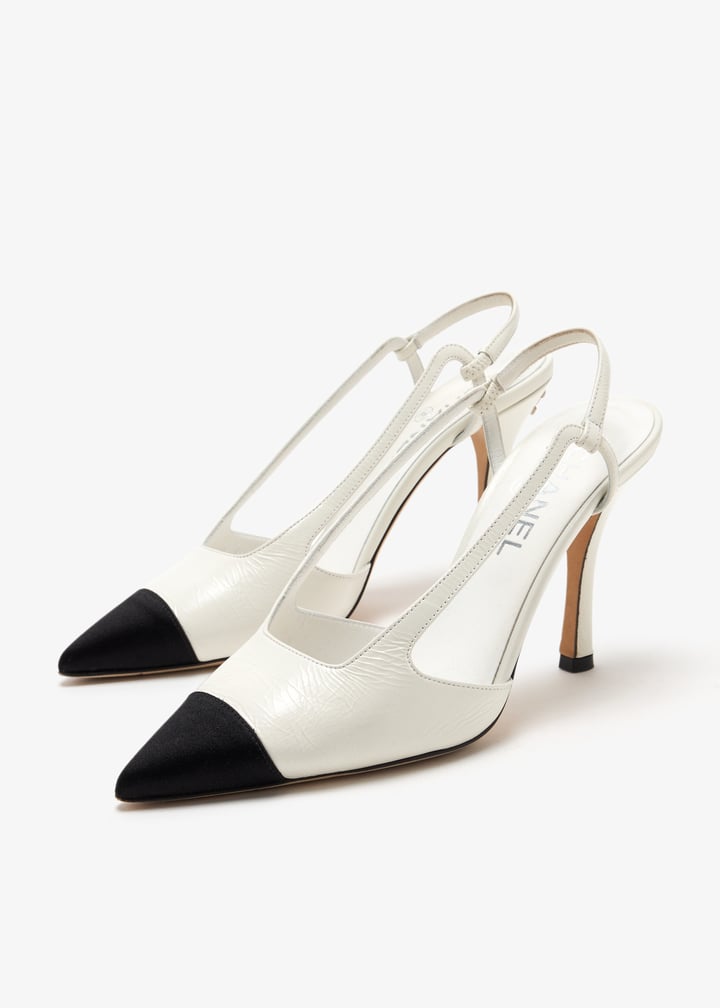 pl461914_3.jpg?ts=20250327034544