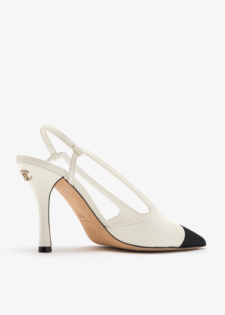 pl461914_4.jpg?ts=20250327034544