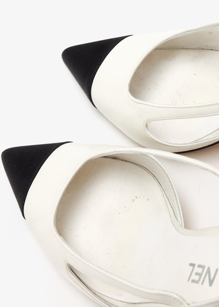 pl461914_5.jpg?ts=20250327034544