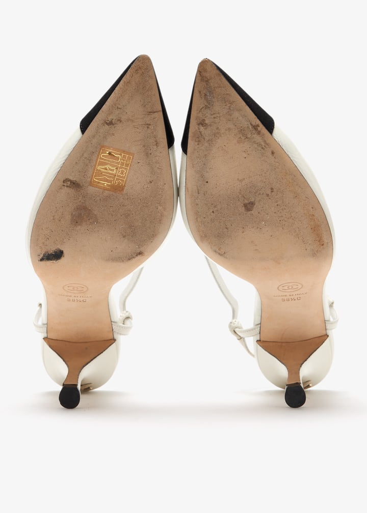 pl461914_7.jpg?ts=20250327034544