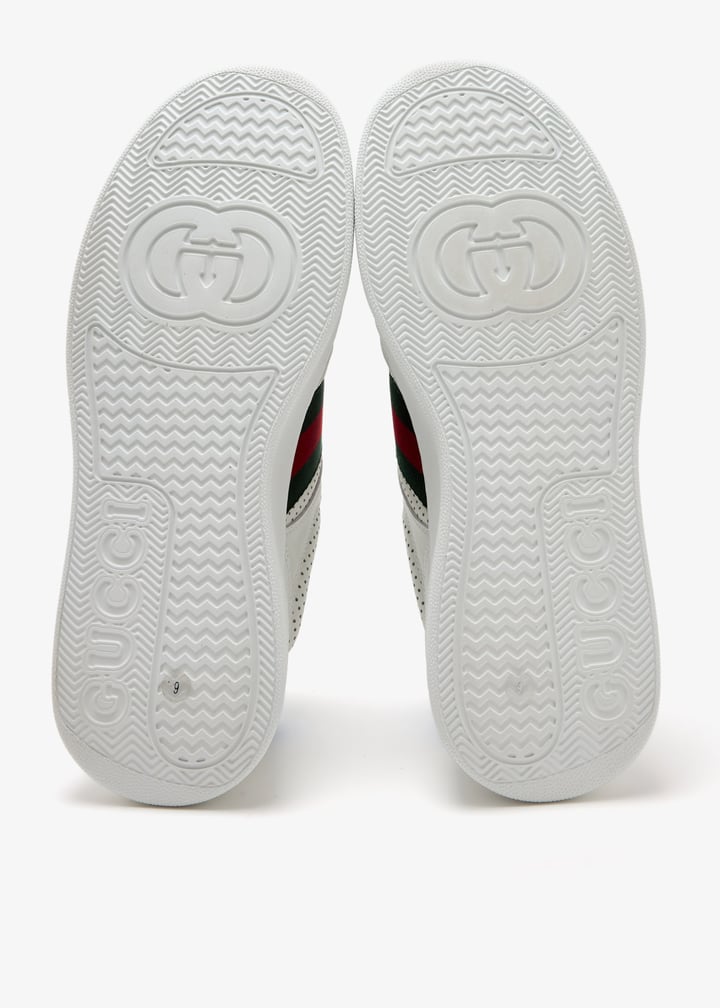 pl462416_7.jpg?ts=20250325031041