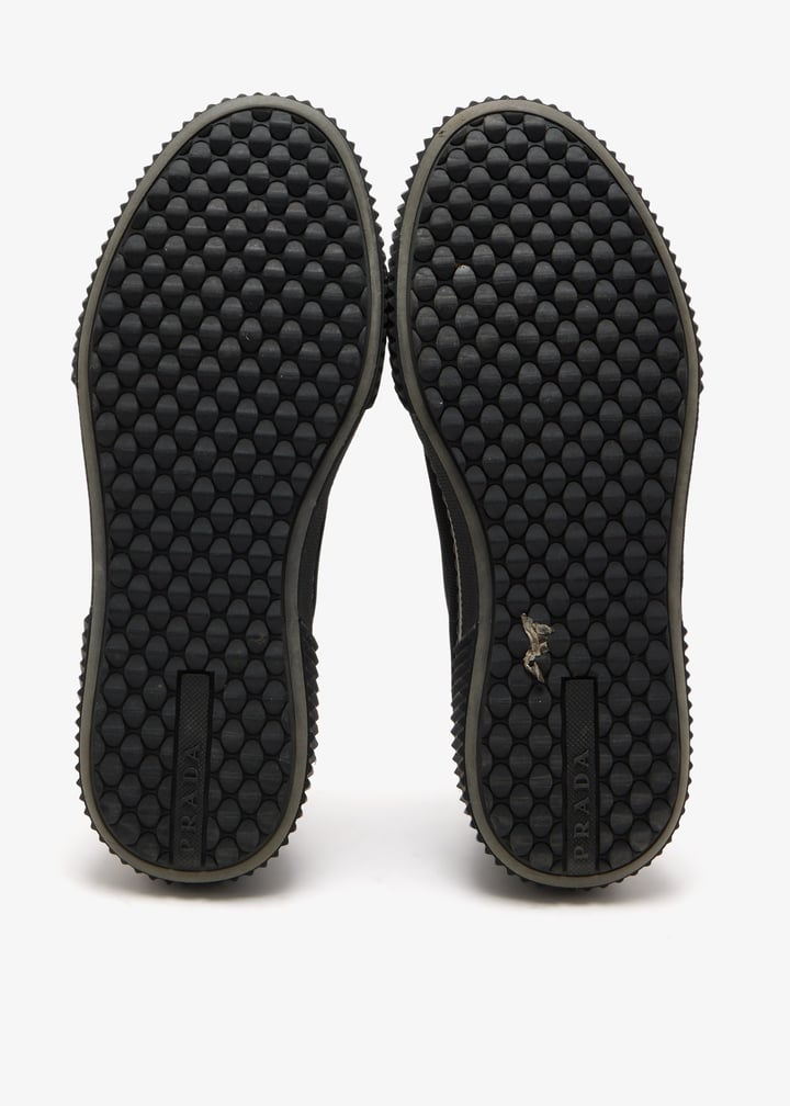 pl462583_7.jpg?ts=20250325031044