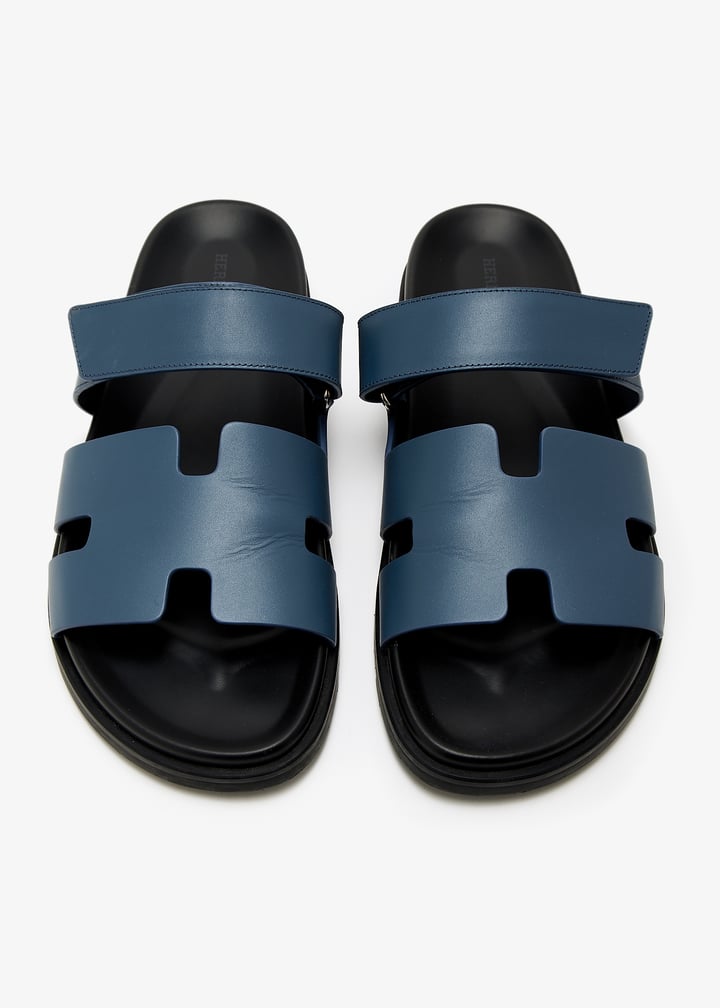 pl462671_3.jpg?ts=20250329040527